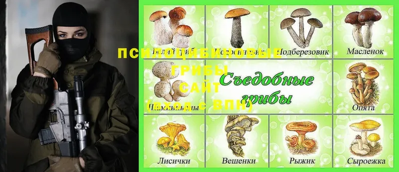 Галлюциногенные грибы Psilocybine cubensis  наркота  Ревда 